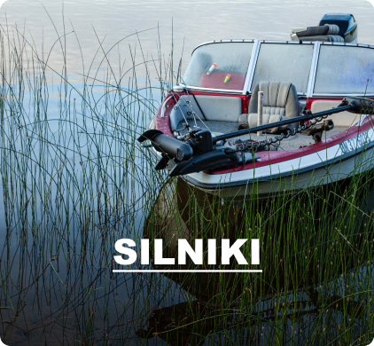Silniki